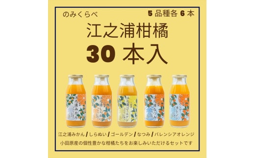 小田原産江之浦みかんジュース５種のみくらべ３０本セット うんしゅう・しらぬい・ゴールデン・なつみ・バレンシアオレンジ１００％ストレートジュース１８０ml各６本合計３０本