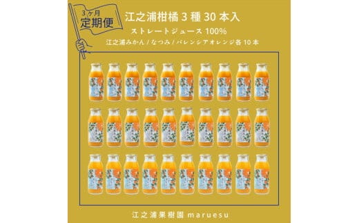 【定期便 3回】 小田原産江之浦みかんジュース３種のみくらべ３０本セット うんしゅう・なつみ・バレンシアオレンジ１００％ストレートジュース１８０ml各１０本合計３０本