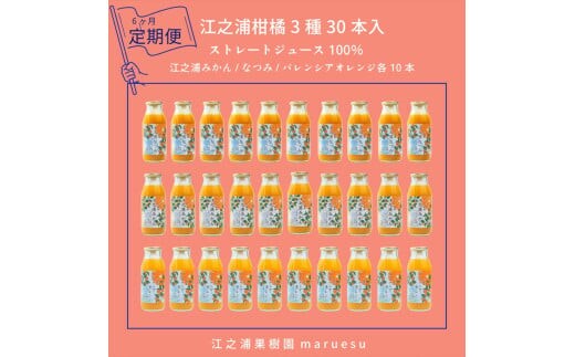 【定期便 6回】 小田原産江之浦みかんジュース３種のみくらべ３０本セット うんしゅう・なつみ・バレンシアオレンジ１００％ストレートジュース１８０ml各１０本合計３０本