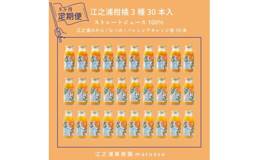 【定期便 9回】 小田原産江之浦みかんジュース３種のみくらべ３０本セット うんしゅう・なつみ・バレンシアオレンジ１００％ストレートジュース１８０ml各１０本合計３０本
