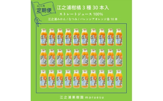 【定期便 12回】 小田原産江之浦みかんジュース３種のみくらべ３０本セット うんしゅう・なつみ・バレンシアオレンジ１００％ストレートジュース１８０ml各１０本合計３０本