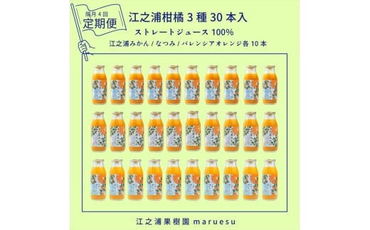 【定期便（2カ月ごと全4回）】 小田原産江之浦みかんジュース３種のみくらべ３０本セット うんしゅう・なつみ・バレンシアオレンジ１００％ストレートジュース１８０ml各１０本合計３０本