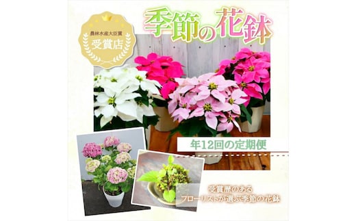 【定期便年12回 季節の花鉢】農林水産大臣賞を受賞したフローリストがアレンジする 季節を知らせる花鉢【 花 お花 神奈川県 小田原市 】