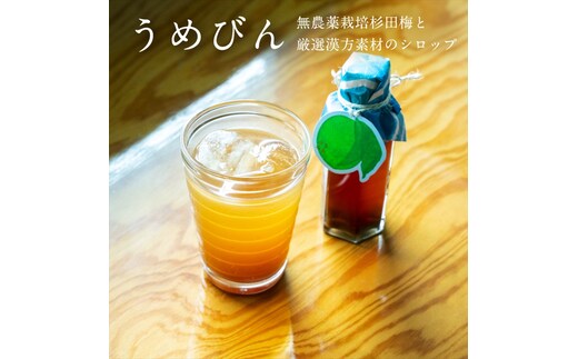 濃厚梅エキスと漢方のシロップ「うめびん（杉田梅） by Kampo Kitchen」【 家庭用 自宅用 贈答品 贈答用 ギフト お取り寄せ お中元 お歳暮 贈り物 お祝い 神奈川県 小田原市 】