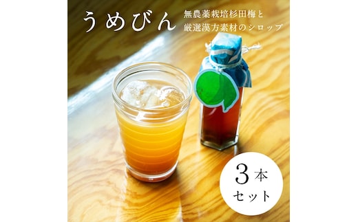 【３本セット】濃厚梅エキスと漢方のシロップ「うめびん（杉田梅） by Kampo Kitchen」【 家庭用 自宅用 贈答品 贈答用 ギフト お取り寄せ お中元 お歳暮 贈り物 お祝い 神奈川県 小田原市 】