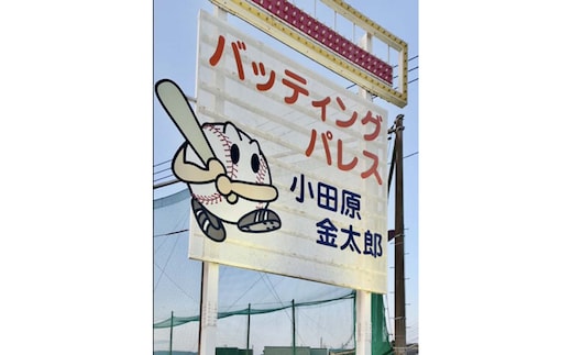 バッティングパレス 3000円分チケット