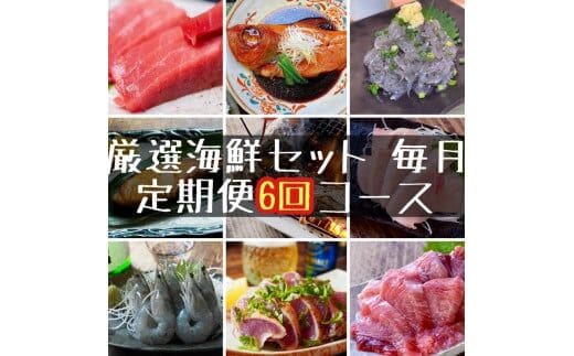 定期便6ヶ月】まぐろや 特別セット【ふるさと納税】【まぐろ 鮪 本鮪