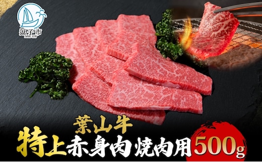 葉山牛 特上赤身 焼肉用 500g 冨士屋牛肉店 葉山牛 和牛 にく 肉焼くだけ 焼き肉用 冷凍 お中元 ギフト 箱入り 贈答用 豪華 おもてなし神奈川県 【 逗子市 】