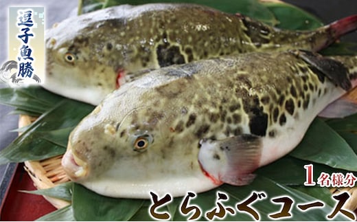 【逗子魚勝】 とらふぐコース（ふるさと納税限定コース）