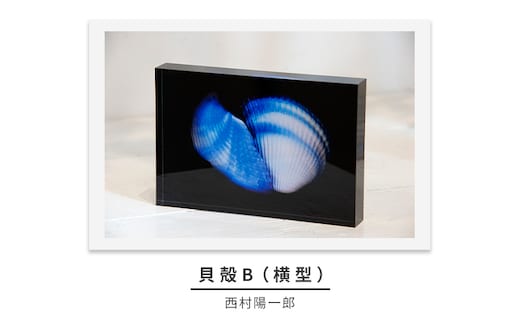 zushi art gallery西村陽一郎写真作品 アクリルブロック「貝殻B（横型）」