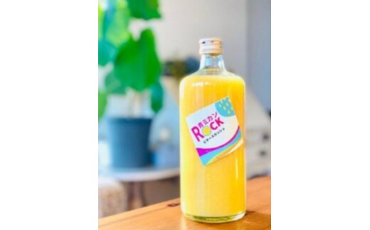 神奈川SDG's 青ミカンROCKビタースカッシュ ６本セット