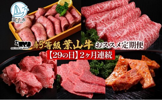 【29の日定期便】2ヶ月連続 葉山牛 定期便 カタログ ギフト カルビ切り落し ジューシー 黒毛和牛 霜降り 赤身 肉 焼く 家族 贈り物 受賞 うし 和牛 冷凍 良質 冷凍便 送料無料 冨士屋牛肉店 神奈川県 逗子市