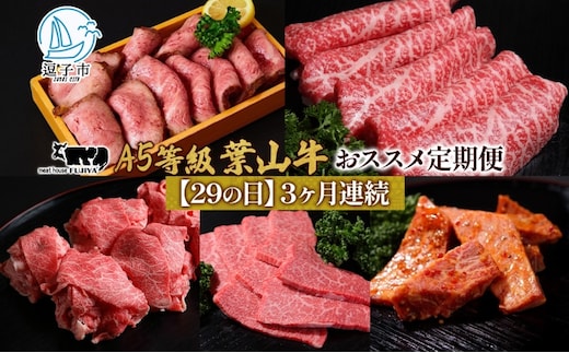 【29の日定期便】3ヶ月連続 葉山牛 定期便 カタログ ギフト カルビ切り落し ジューシー 黒毛和牛 霜降り 赤身 肉 焼く 家族 贈り物 受賞 うし 和牛 冷凍 良質 冷凍便 送料無料 冨士屋牛肉店 神奈川県 逗子市