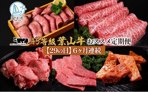 【29の日定期便】6ヶ月連続 葉山牛 定期便 カタログ ギフト カルビ切り落し ジューシー 黒毛和牛 霜降り 赤身 肉 焼く 家族 贈り物 受賞 うし 和牛 冷凍 良質 冷凍便 送料無料 冨士屋牛肉店 神奈川県 逗子市