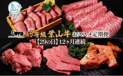 【29の日定期便】12ヶ月連続 葉山牛 定期便 カタログ ギフト カルビ切り落し ジューシー 黒毛和牛 霜降り 赤身 肉 焼く 家族 贈り物 受賞 うし 和牛 冷凍 良質 冷凍便 送料無料 冨士屋牛肉店 神奈川県 逗子市