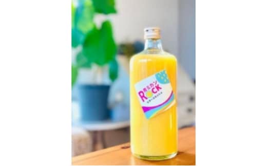 神奈川SDG's 青ミカンROCKビタースカッシュ3本＆青ミカンハーブティセット みかん 青ミカン ミカン スカッシュ ハーブティ セット ジュース ハチミツ漬け ビター SDG's 逗子市 神奈川県