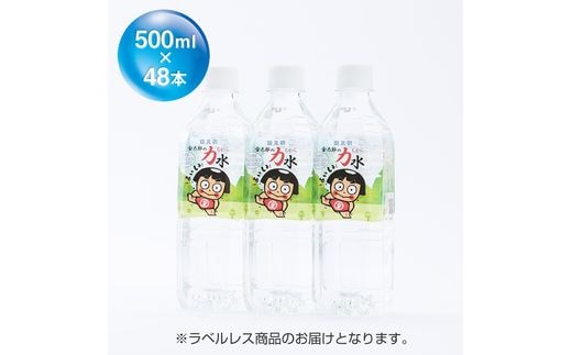 おためしAセット 金太郎の力水ラベルレス 500ml×48本（24本入×2箱）
