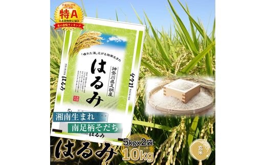 【令和7年産】湘南生まれ南足柄育ちのブランド米「はるみ」(玄米) 10kg 創業100年の米屋がお届け【特A ギフト プレゼント 贈り物 返礼 御礼 おいしい 】【 ごはん おいしい 神奈川県 南足柄市 】