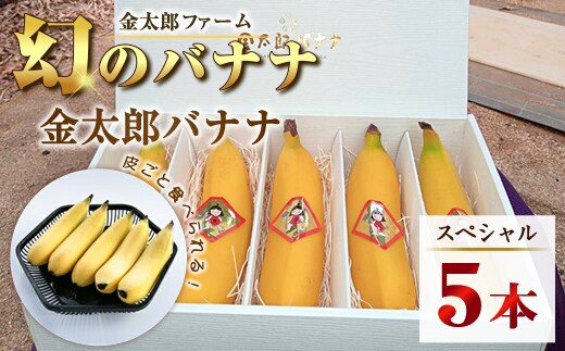 南足柄産国産バナナ(栽培期間中農薬不使用）5本セット