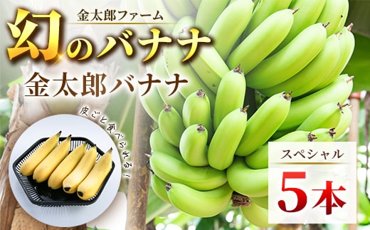 南足柄産国産バナナ(栽培期間中農薬不使用）5本セット