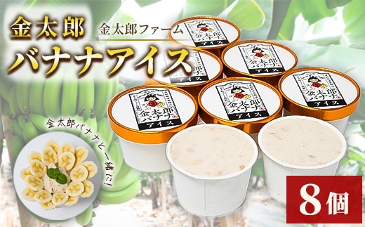 金太郎バナナアイス（8個） 栽培期間中農薬不使用 【国産 ギフト プレゼント 贈り物 お返し おいしい 果物 くだもの フルーツ お歳暮 お中元 】