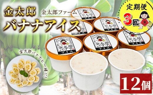 定期便：金太郎バナナアイス（36個）：12個×3回（毎月お届け） 毎栽培期間中農薬不使用 【国産 ギフト プレゼント 贈り物 お返し おいしい 果物 くだもの フルーツ お歳暮 お中元 】