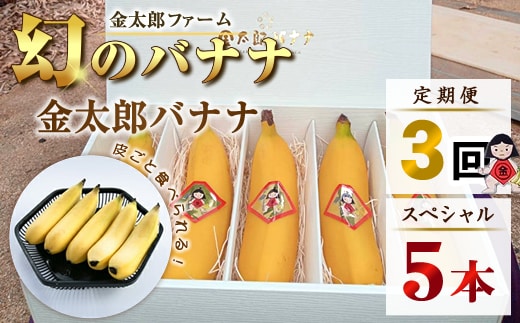 定期便：スペシャル 金太郎バナナ（15本） 5本×3回（毎月お届け） 栽培期間中農薬不使用 【国産 ギフト プレゼント 贈り物 お返し おいしい 金太郎バナナ 果物 くだもの フルーツ お歳暮 お中元 】