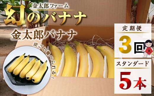 定期便：スタンダード 金太郎バナナ（15本） 5本×3回（毎月お届け） 栽培期間中農薬不使用 【国産 ギフト プレゼント 贈り物 お返し おいしい 金太郎バナナ 果物 くだもの フルーツ お歳暮 お中元 】