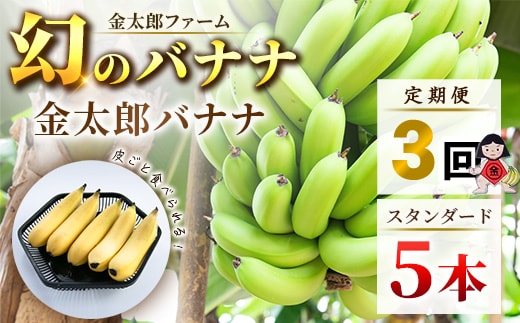 定期便：スタンダード 金太郎バナナ（15本） 5本×3回（毎月お届け） 栽培期間中農薬不使用 【国産 ギフト プレゼント 贈り物 お返し おいしい 金太郎バナナ 果物 くだもの フルーツ お歳暮 お中元 】
