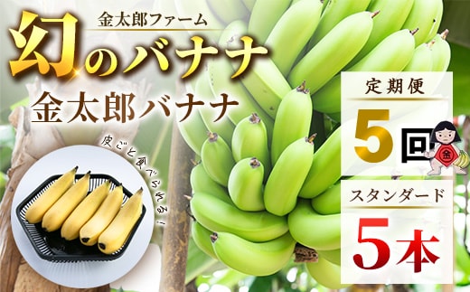 定期便：スタンダード 金太郎バナナ（25本） 5本×5回（毎月お届け） 栽培期間中農薬不使用 【国産 ギフト プレゼント 贈り物 お返し おいしい 金太郎バナナ 果物 くだもの フルーツ お歳暮 お中元 】