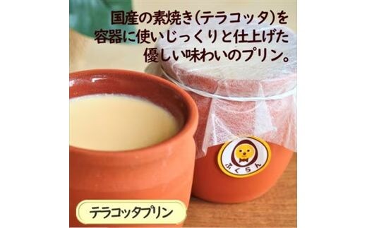 テラコッタプリン〔6個〕 国産の素焼き容器を使い、じっくりと仕上げた手作りプリン 【 プリン スイーツ お菓子 神奈川県 南足柄市 】