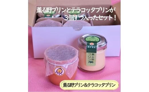 薫る野プリン&テラコッタプリン6個セット〔3個×2種〕 おすすめの2種類のプリンセット 【 プリン スイーツ お菓子 神奈川県 南足柄市 】