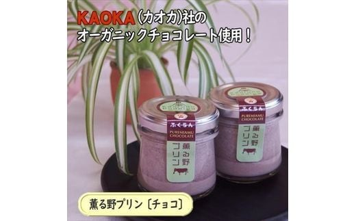 薫る野プリン プレミアムチョコプリン 6個 【 プリン スイーツ お菓子 神奈川県 南足柄市 】