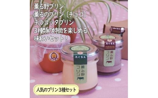 こだわりプリン3種セット 6個 〔2個×3種〕 【 プリン スイーツ お菓子 神奈川県 南足柄市 】