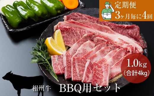 【定期便：3ヶ月毎に4回】相州牛（BBQ用セット）1.0kg 【合計4kg】