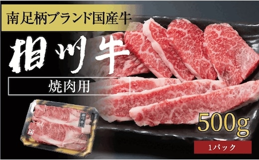 相州牛 焼肉・網焼き用カルビ 500g（厚切り）