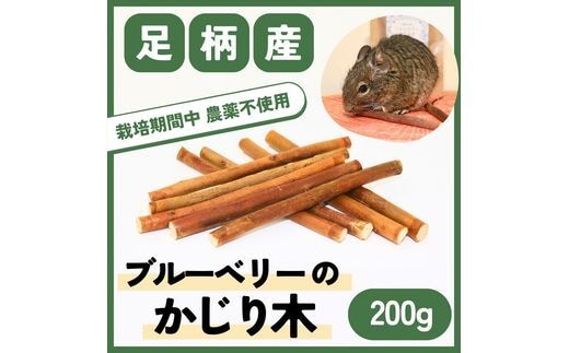 【小動物ペットに】足柄産ブルーベリーのかじり木200g（お得パック）【 ペット 神奈川県 南足柄市 】