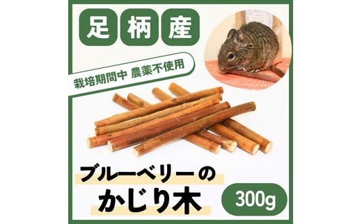 【小動物ペットに】足柄産ブルーベリーのかじり木300g（お得パック）【 ペット 神奈川県 南足柄市 】