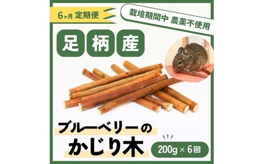 【定期便6ヵ月】足柄産ブルーベリーのかじり木200g×6回＜毎月お届け＞【 ペット 神奈川県 南足柄市 】