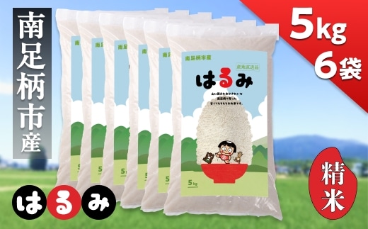 令和7年 新米 南足柄産のブランド米「はるみ(精米)」 5kg×6袋 計30kg＜出荷時期：2025年10月末頃より順次出荷予定＞【 新米 新米予約 7年産 お米 神奈川県 南足柄市 】
