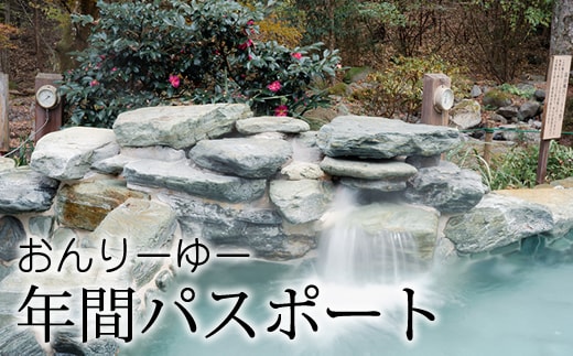 おんりーゆー 年間パスポート【温泉 サウナ お風呂 結婚記念日 敬老の日 ギフト プレゼント 利用券 神奈川県 南足柄市 】