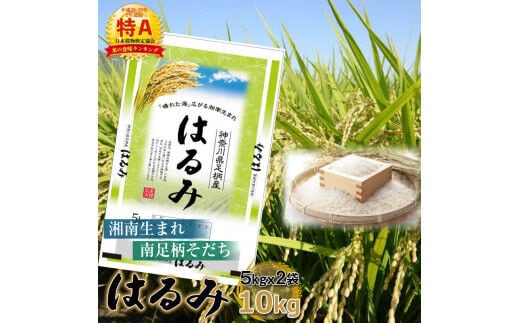 【令和7年産】湘南生まれ 南足柄育ちのお米「はるみ」(精米)10kg(5kg×2袋)【 ごはん おいしい 神奈川県 南足柄市 】