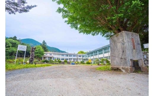 神奈川県南足柄市廃校キャンプ場 CAMPiece南足柄 1サイトご利用券