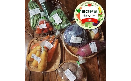 旬の野菜セット（1回）【 神奈川県 大磯町 季節野菜セット 新鮮野菜】