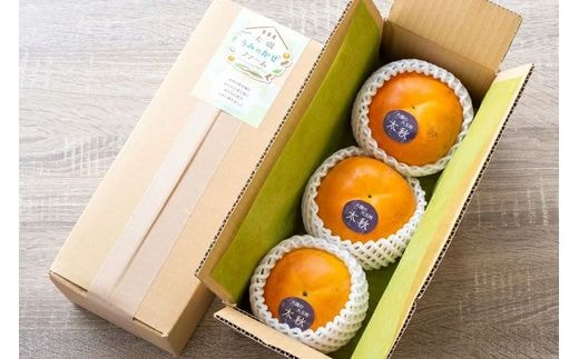 【特選★糖度18度以上】大磯の大玉柿『太秋』3個入り（約1kg）〈出荷時期:2026年10月中旬～2026年11月中旬〉【 神奈川県 大磯町 】