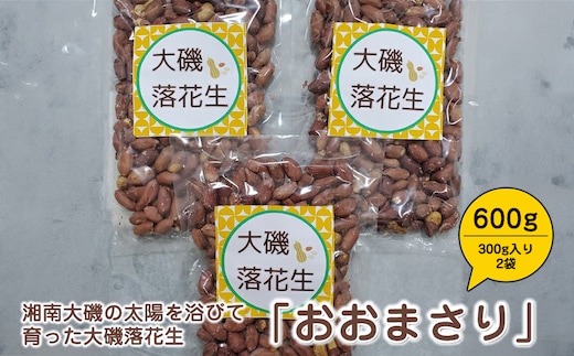 湘南大磯の太陽を浴びて育った大磯落花生 「おおまさり」 たっぷり600g（300g入り2袋）【おつまみ 大容量】【 神奈川県 大磯町 大粒の落花生 天日干し ポリフェノー 薄皮付き ピーナッツ 贈り物 父の日】