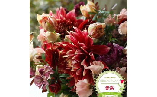 季節のアレンジメント（アレンジメント・生花：赤系） 事前やりとりしてのオーダーメイド。旬のお花と季節のグリーン、実物や枝物等を合わせてご用意いたします。【 花束 アレンジメント 神奈川県 大磯町 】