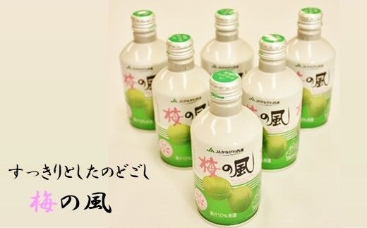 ＪＡかながわ西湘 梅の風（清涼飲料水） ２９０ｍｌ×２４缶