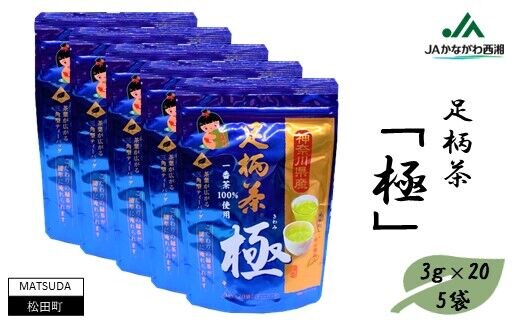 ティーバッグ「極」100個セット（3ｇ×20×5袋）