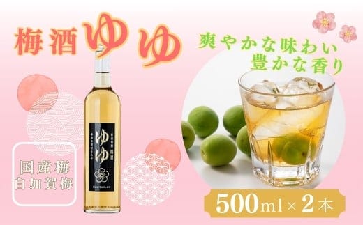 梅酒ゆゆ 梅酒500ml×2本 国産梅 白加賀梅 梅酒 米焼酎 新潟銘醸 【0002-0032-01】